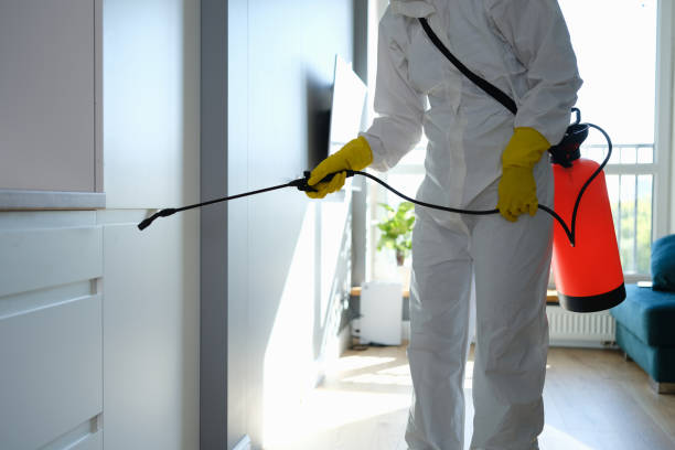 Best Localized Mold Remediation (e.g., coastal areas, humid climates) in Fife Heights, WA